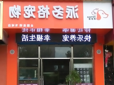 169.jpg