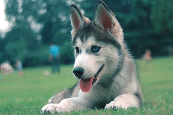 1503399817914514.gif sdfghjkl.gif